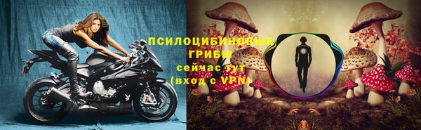 дурь Алексеевка