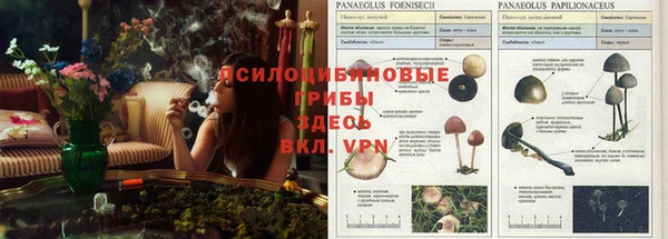 гашиш Алексин