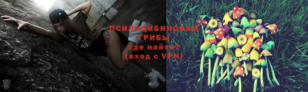 дурь Алексеевка
