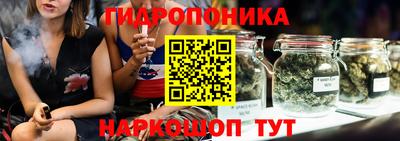 дживик Кимры