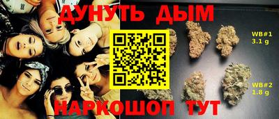 гидра Кингисепп