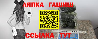 гидра Кингисепп