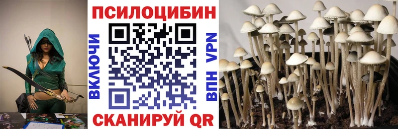 где купить наркотик Муравленко ОМГ ОМГ рабочий сайт Псилоцибиновые грибы Psilocybine cubensis