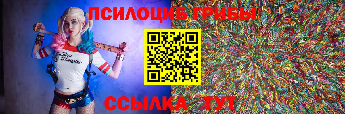 Галлюциногенные грибы Psilocybine cubensis Муравленко