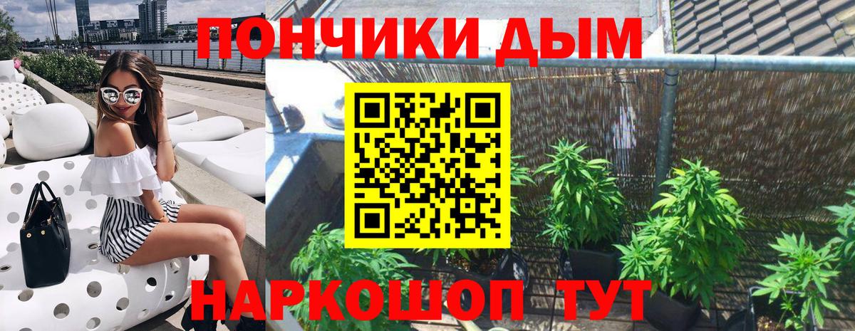 Бошки марихуана марихуана  Бошки Шишки планчик  Вход с VPN  Муравленко 